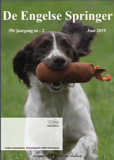 Juni 2019