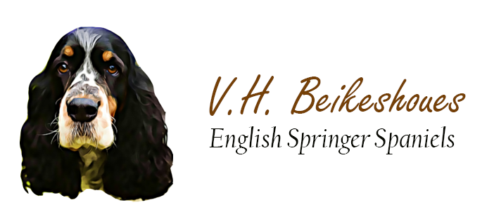V.h. Beikeshoues