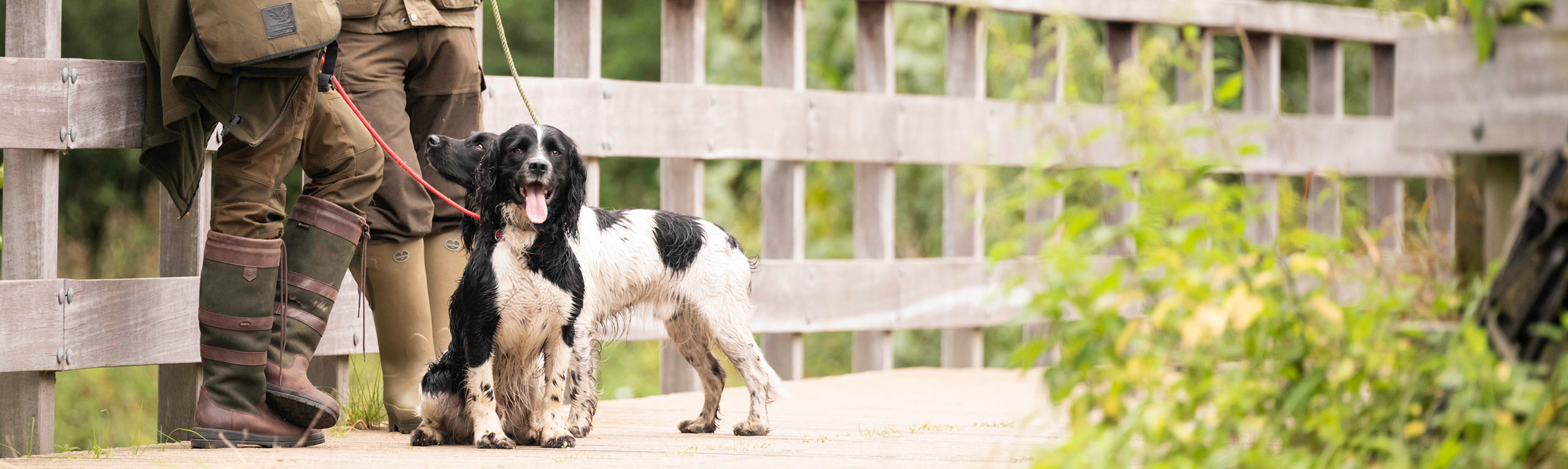 Workingtest-Spaniels-Liempde10.09.2021-4607.jpg