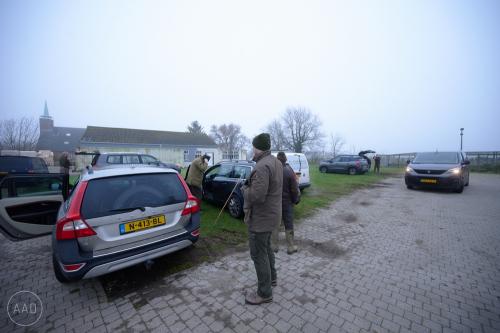 Veldwedstrijd CAC - Tholen 18 januari 2025 - fotograaf Aad van Vliet